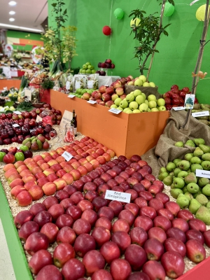 Flora Olomouc - Hortikomplex 2025