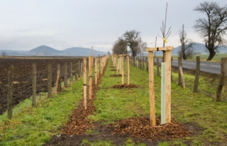 Obrázek4 - po realizaci.jpg